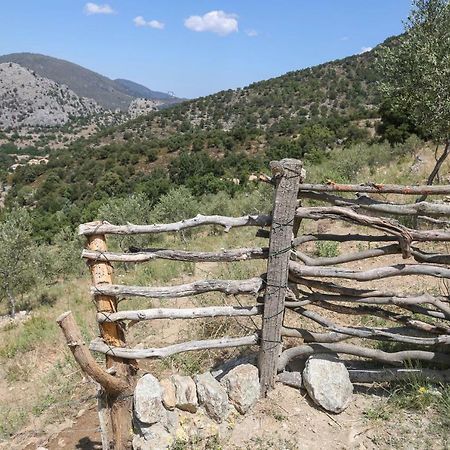 Отель Les Bergeries "Le Figuier" Omessa Экстерьер фото